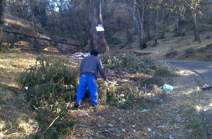 Hero cleans up historic Stewart Drive! The Heritage Portal